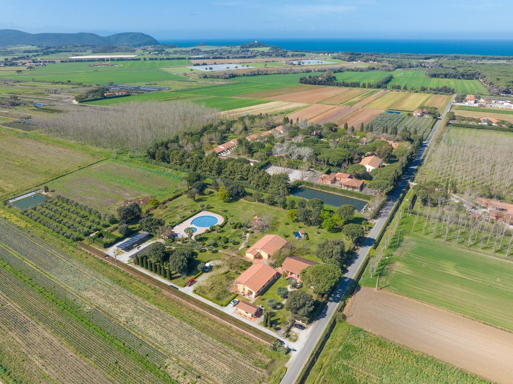 Il Girasole - Ginestra Villa Venturina Terme Eksteriør billede